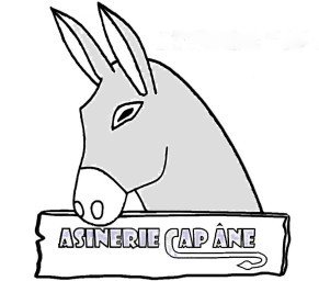 CAP ÂNE